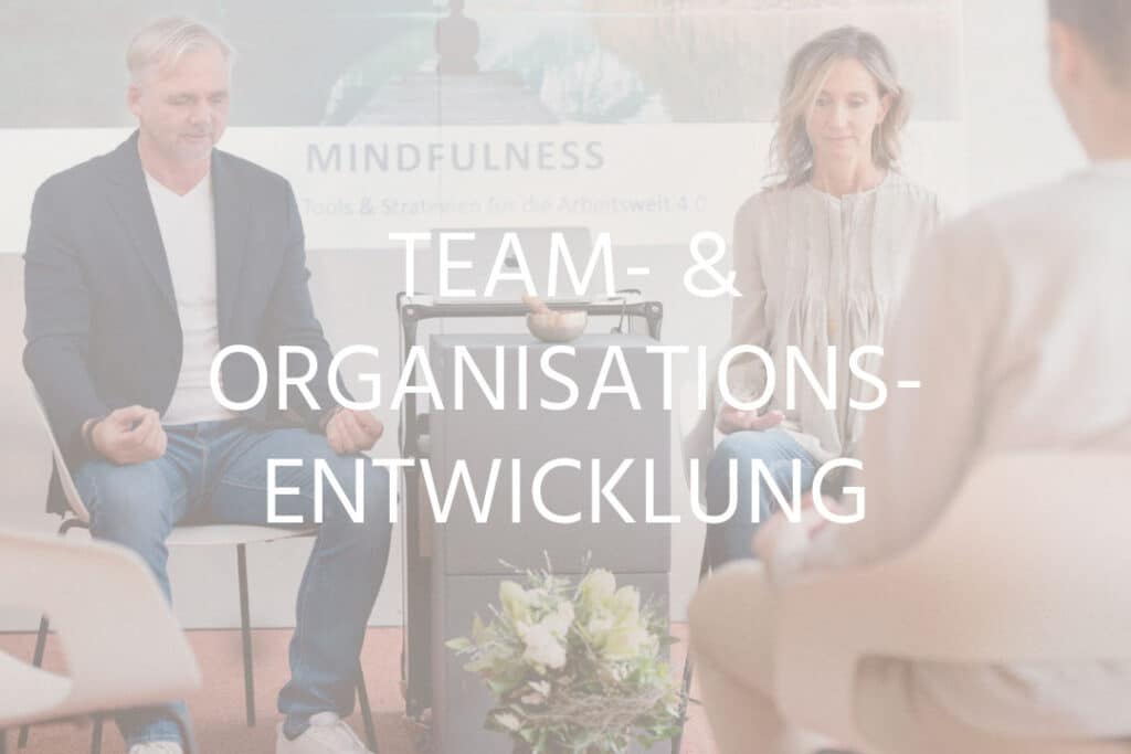 Teamentwicklung & Organisationsentwicklung Coaching in Zürich