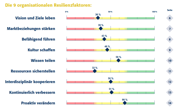 9-organisationale-resilienzfaktore