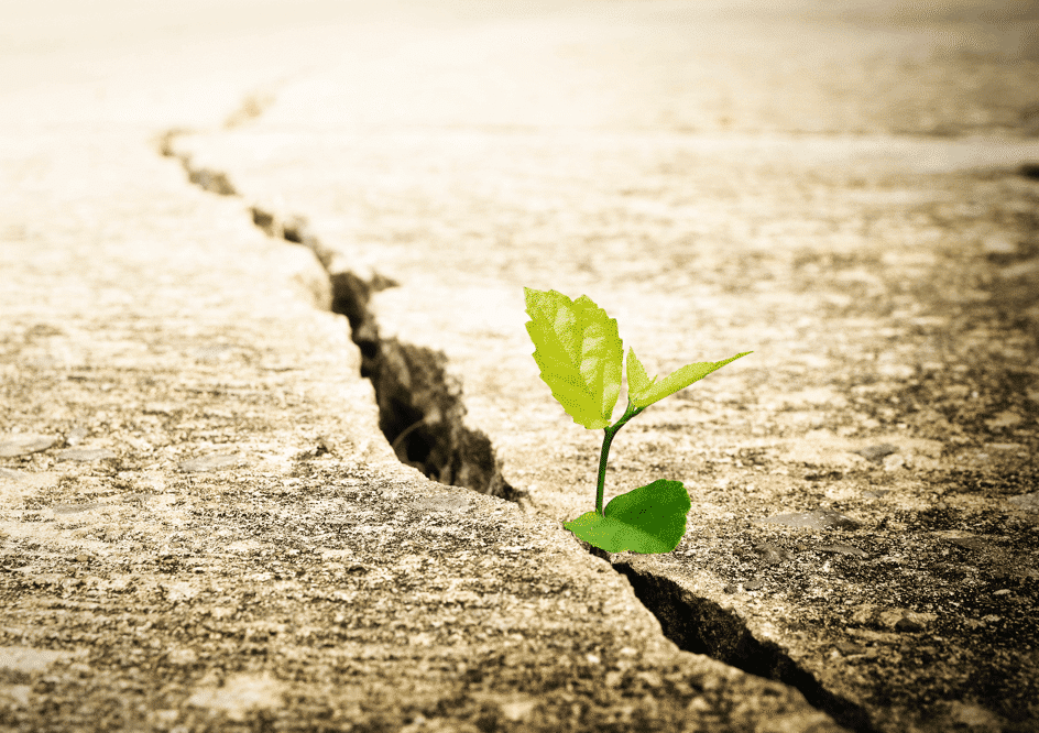 Executive Coaching, Leadership Coaching, Führungskräftecoaching und Resilienzcoaching